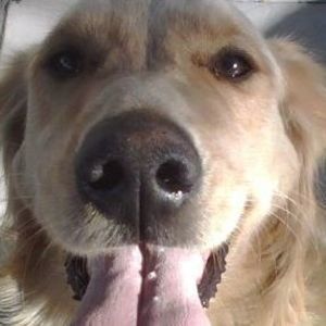 Meet your Posher, Patrick